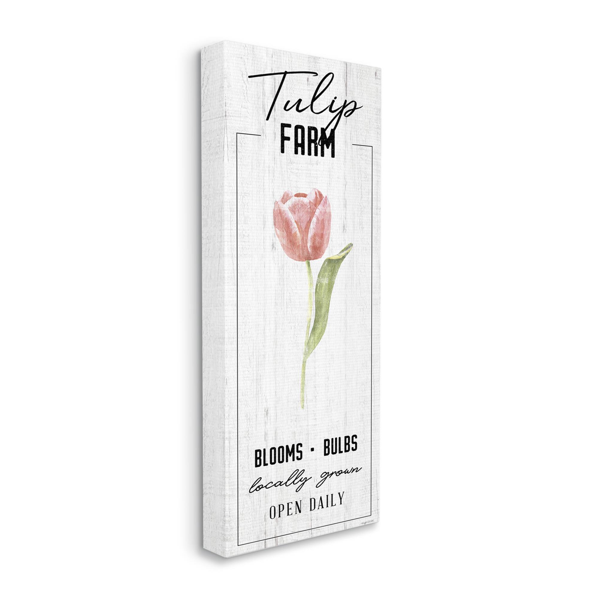 Stupell Industries Tulip Farm Pink Country Floral Locally Grown Blooms Canvas Wall Art